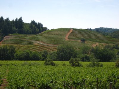 Dry Creek Valley