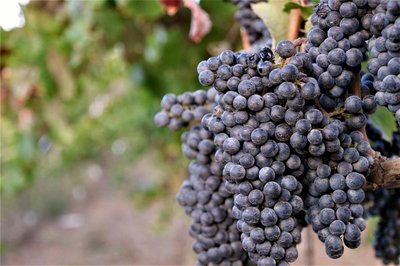 San Luis Obispo Coast