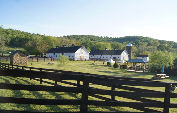 Aspen Dale Winery at the Barn logo