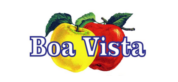 Boa Vista Vineyards logo