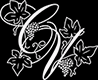 Clearview Vineyards logo