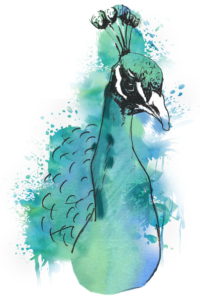 Kog Hill Winery logo