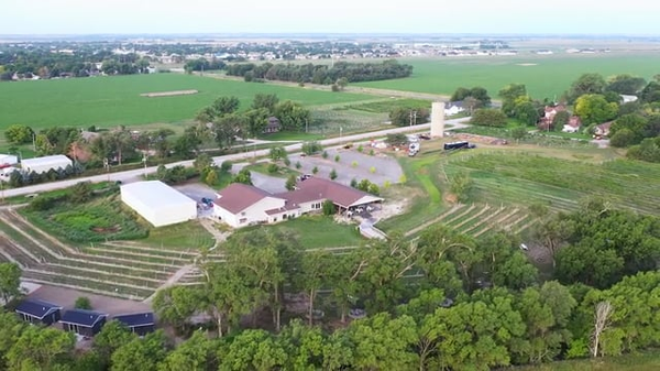 Mac's Creek Vineyards & Winery logo
