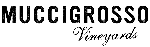 Muccigrosso Vineyards logo