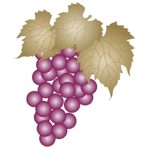Pamo Valley Vineyards & Winery logo