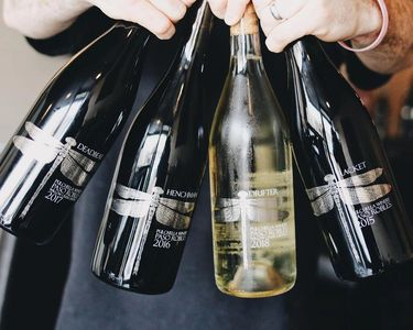 Pulchella Winery logo