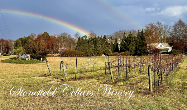 Stonefield Cellars logo